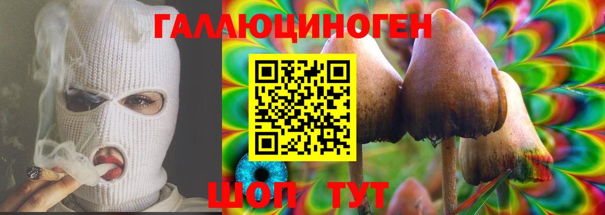 Апатиты  Галлюциногенные грибы мицелий  Вход с VPN 